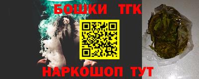 индика Заводоуковск