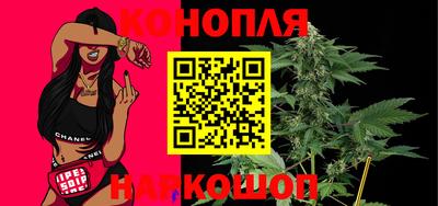 индика Заводоуковск