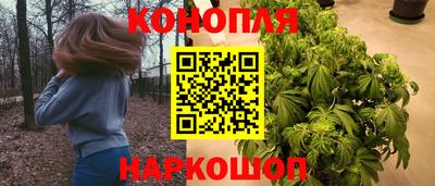 индика Заводоуковск