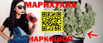 индика Заводоуковск