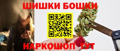 индика Заводоуковск