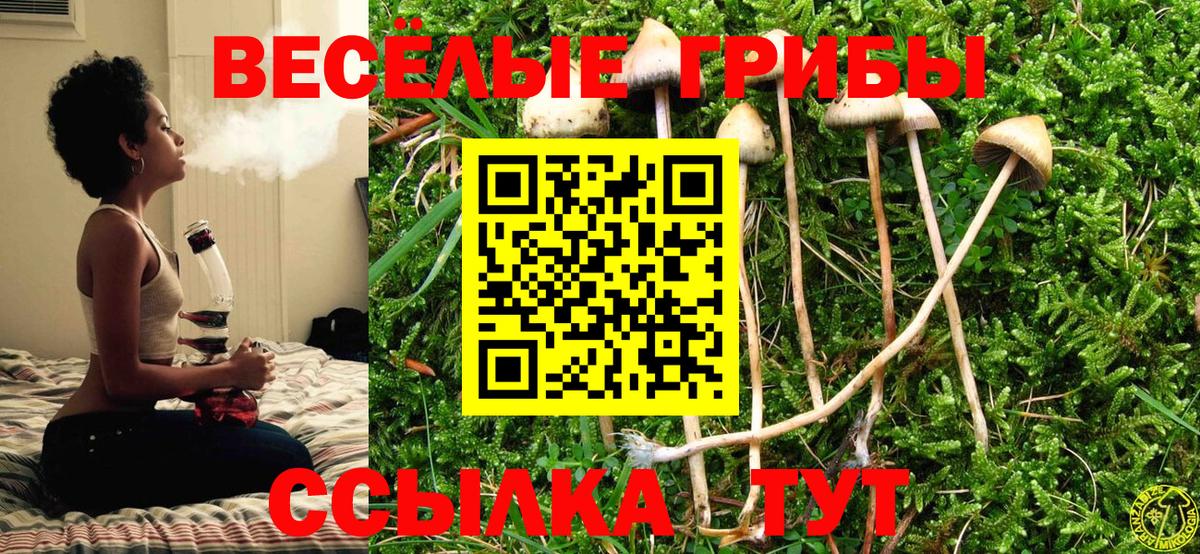 Лабинск  Галлюциногенные грибы Psilocybine cubensis  Вход с VPN 